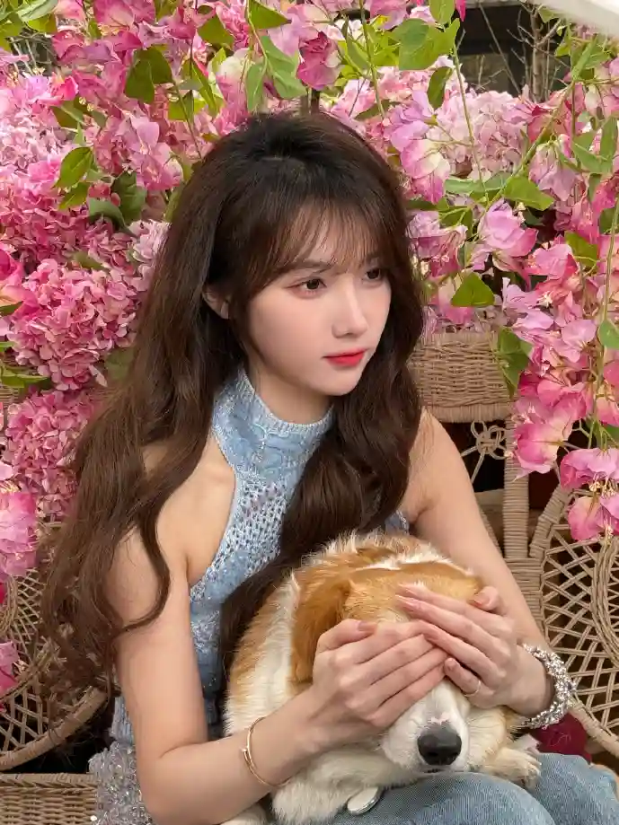 城市之光下载游戏画面